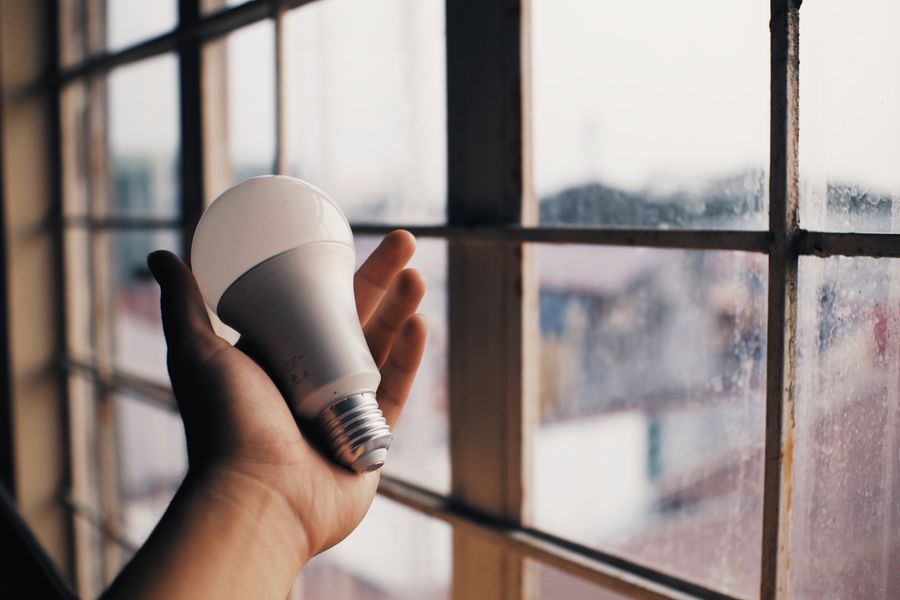 電球を手に持っているところ